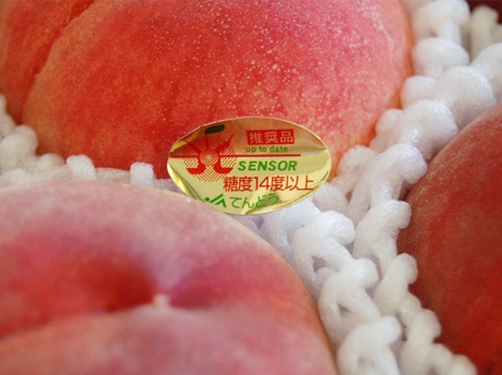 山形県天童産《特選もも》光センサー糖度13度以上 約2kg