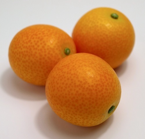 フルーツポンチッチFamily Excellent