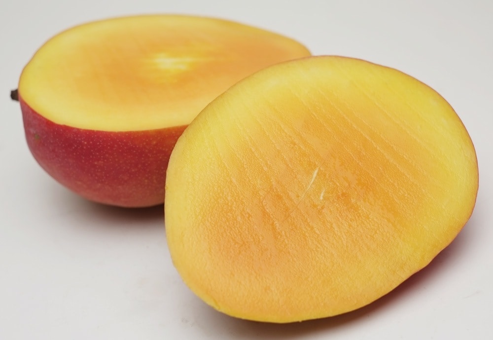 フルーツポンチ フルーツポンチ SFP30N | 商品詳細 | 高島屋オンラインストア