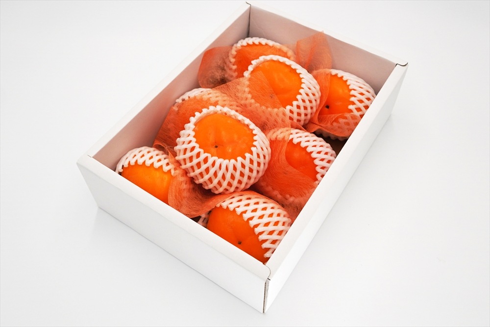 山形県鶴岡産《庄内柿》元祖種なし柿 約2kg/8個入