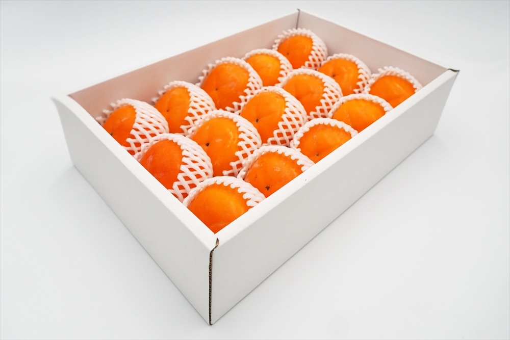 山形県鶴岡産《庄内柿》元祖種なし柿 約3kg/15個入