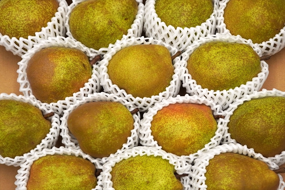 山形県産《ラ・フランス》果物の女王 4L・5kg/14個入