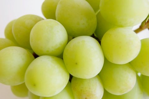 フルーツポンチッチFriend ＜桃＆シャイン＞