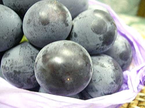 フルーツポンチッチFriend <桃&ピオーネ>