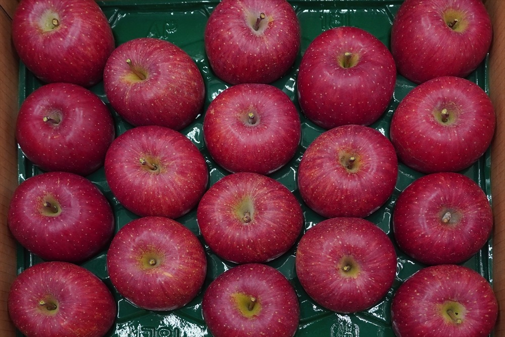 山形県産《ふじりんご》お薦めのサンふじ 5kg/18個入（中）