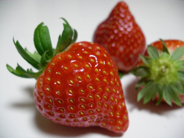 フルーツポンチッチFriend ＜いちご食べ比べ＞