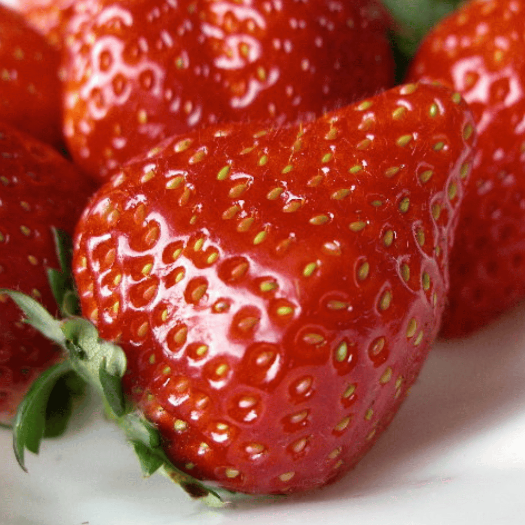 フルーツポンチッチFamily ＜いちご食べ比べ＞