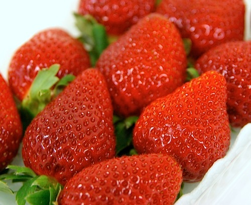 フルーツポンチッチFamily ＜いちご食べ比べ＞