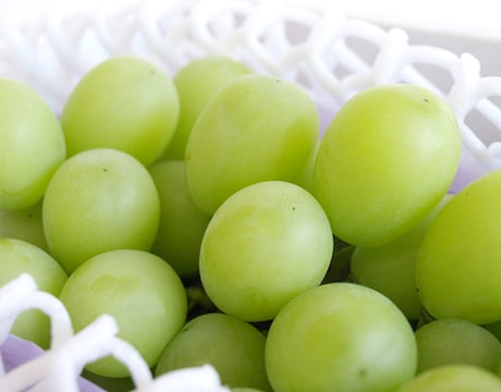 フルーツポンチッチFriend　〈いちご＆シャイン〉