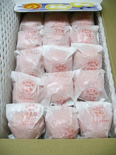 愛媛県産《小太郎みかん》袋がけ越冬完熟みかん 3kg/30個入