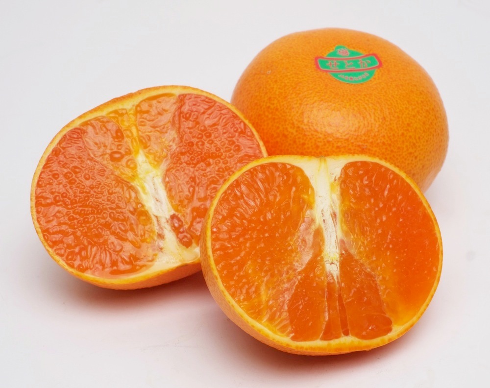 長崎県産《せとか》幻の高級柑橘