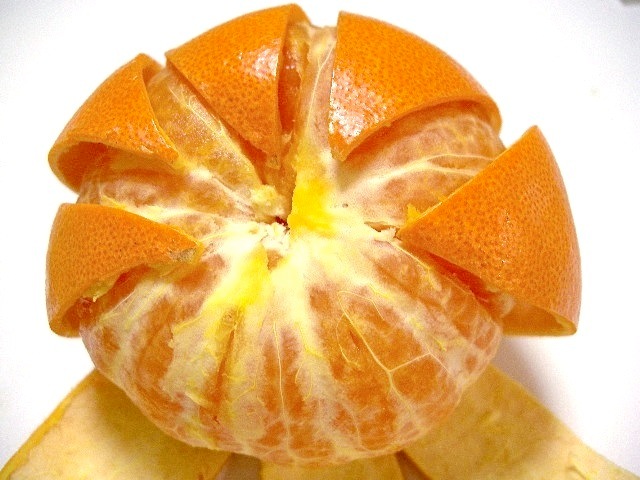 長崎県産《せとか》幻の高級柑橘