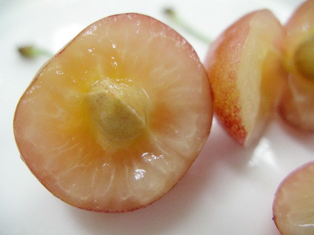 スペシャルギフト《さくらんぼの匠》温室佐藤錦