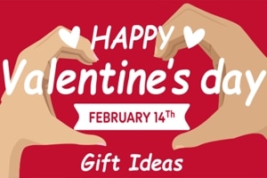 Valentine Gift ˤΥƥ򤴾Ҳ