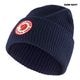1960 Logo Hat