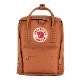 Kanken Mini  (Terracotta Brown 243)