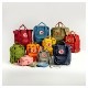 Kanken 16L (Black Oak 294)