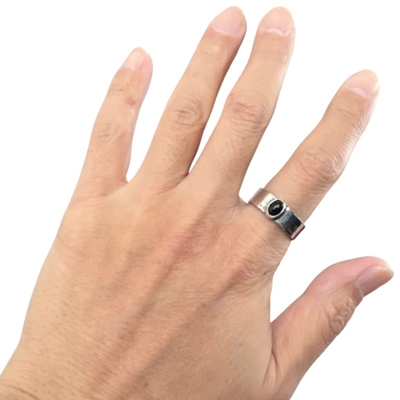 Sunshine Reeves ���󥷥㥤��꡼�֥� ��� �Хå�������� ���˥��� 22��