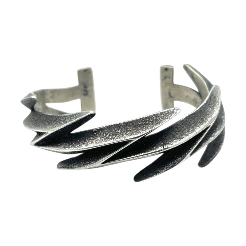 Aaron Anderson �������󥢥�������� �Х󥰥� �ȥ��ե����㥹�� �饤�ȥ˥�