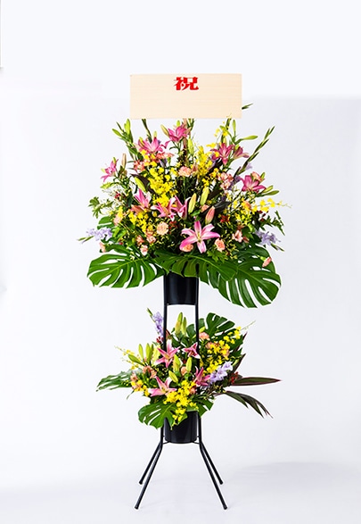 ���ˤ�������ɣ��ʡ���ST-06��