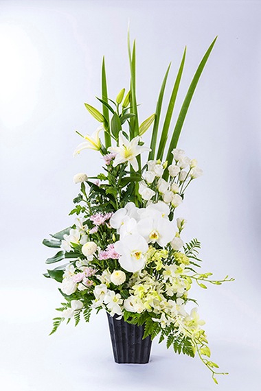 ����������󥸡���̯�ʤ��������ˡ�ARF-109��