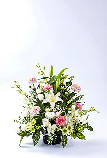 ����������󥸡�����ʤӤ㤯��ˡ�ARF-102��