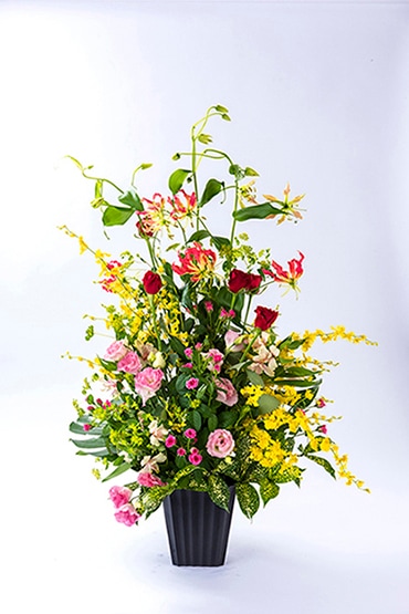 ���ˤ�����󥸡����륭���͡�AR-104��