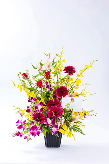 ���ˤ�����󥸡��쥪��AR-102��