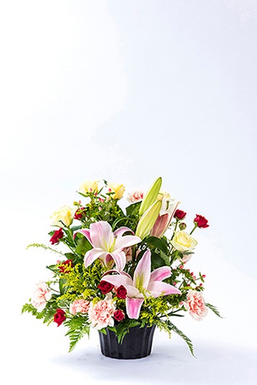 ���ˤ�����󥸡��饤�֥��AR-101��