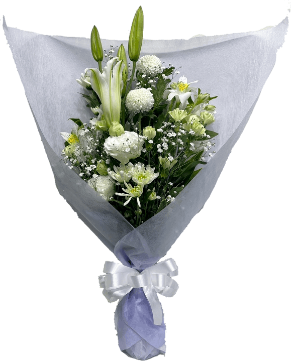 ���ơʤҤ��礦�ˡ�BQF-03��