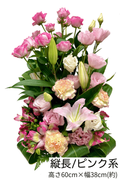 ��Ĺ����󥸥��ȡ�AR-7000��