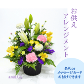 ����������󥸥��ȡ�����ᤪ�ޤ�����ARF-5000��