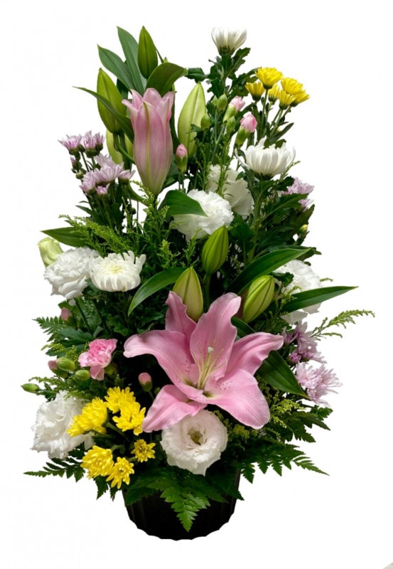 ͼ�ơʤ椦���ˡ�ARF-05��