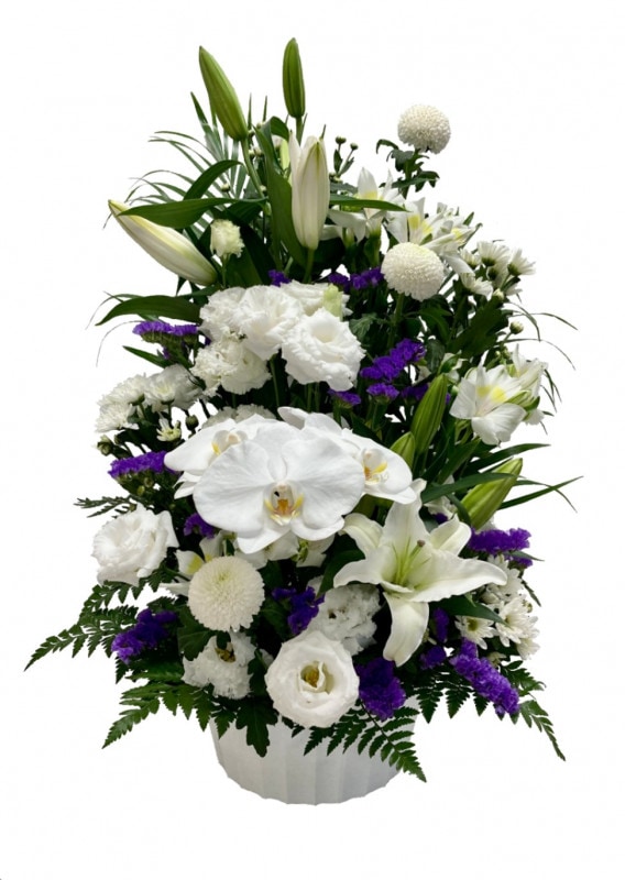 ��˱�ʤ���ۤ��ˡ�ARF-06��