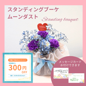 ����������B�ۥ�����ǥ��󥰥֡��������ࡼ�������