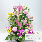 ����������󥸥��ȡ�����ᤪ�ޤ�����ARF-7000-����