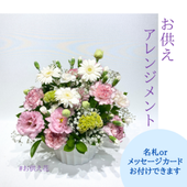 󥸥ȡøޤARF-5000-