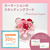 ����������A�ۥ����͡������Υ�����ǥ��󥰥֡���