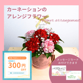 ����������C�ۥ����͡������Υ���󥸥ե�