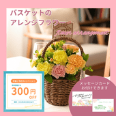 ����������D-1�ۥХ����åȤΥ���󥸥ե���������