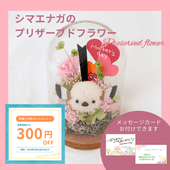 ����������H�ۥ��ޥ��ʥ��Υץꥶ���֥ɥե�