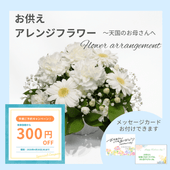 �ڤ����ۤ���������󥸥ե�