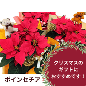 �ߥ��ե� �ݥ��󥻥�����5�極������ȭ�ˡ�PO-3000��