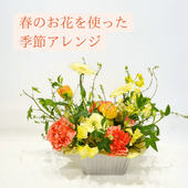 �ڵ������۽դβ֤�Ȥä����ޤ������ᥢ���