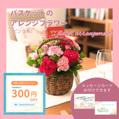 ����������D-2�ۥХ����åȤΥ���󥸥ե����ԥ󥯷�