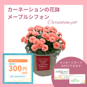 ��G�ۥ᡼�ץ륷�ե��󡡥����͡������β�ȭ