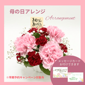 ����������SP-1������������