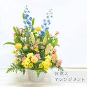 ��������̿����£�뵨��Υ���󥸥��ȡ�ARF-8000��
