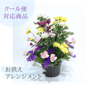�������ء�����������󥸥��ȡ�����ᤪ�ޤ�����ARF-4113-C��