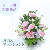 �������ء�����������󥸥��ȡ�ø�����ޤ�����ARF-5113-C��